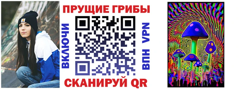 mega как войти  Ступино  Галлюциногенные грибы Psilocybe 